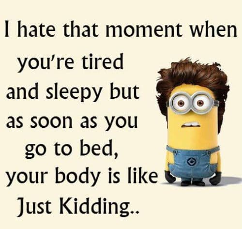 20 Cute And Funny Minion Quotes