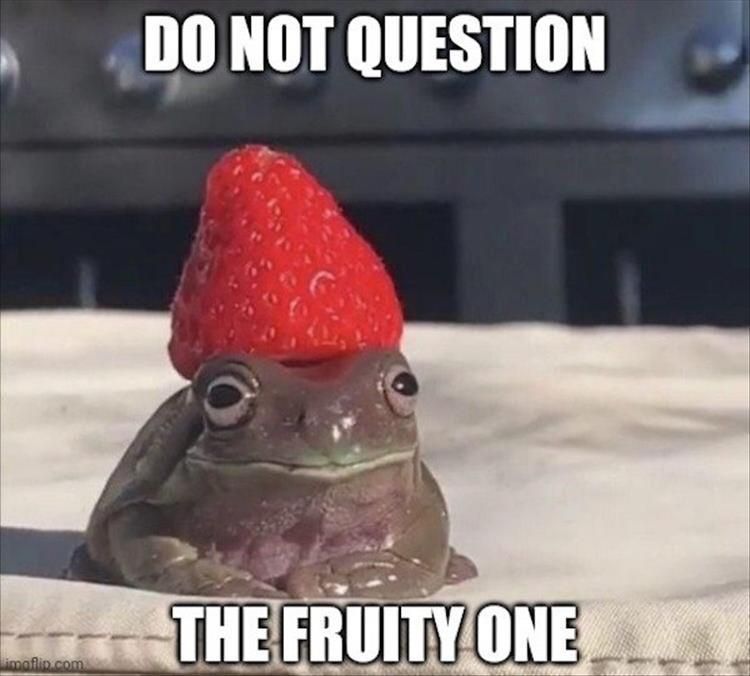 Cutest Pet Memes 5