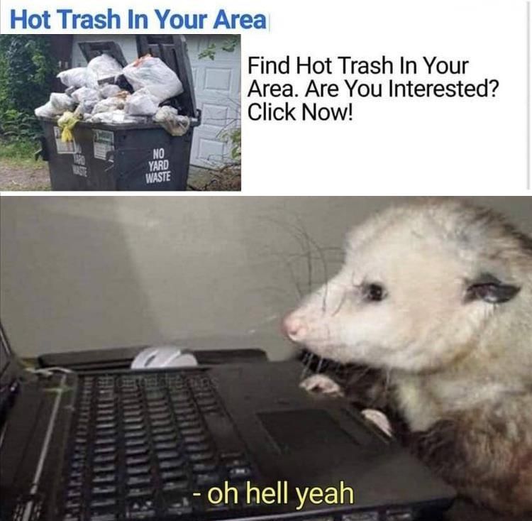 Cutest Pet Memes 9