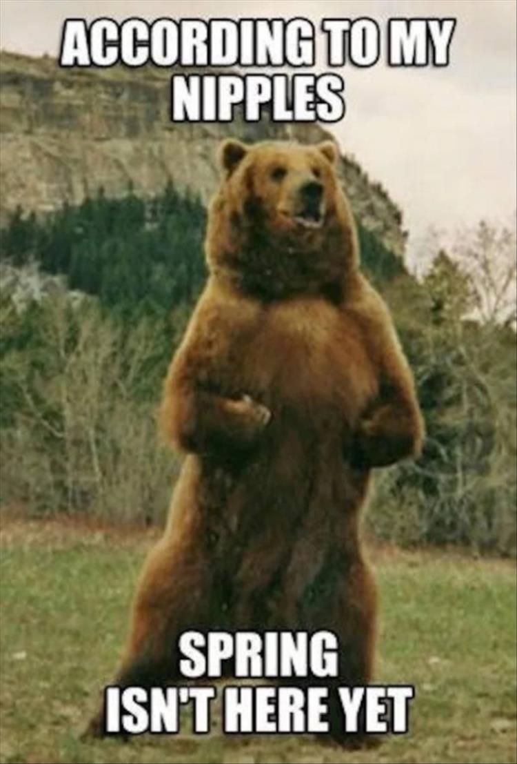 Top 30 Funny Animal Memes Of The Day 60D4584Eec31C