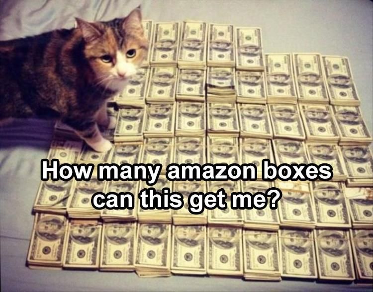 Top 34 Funny Animal Memes Of The Day 60D6Fb72A5198