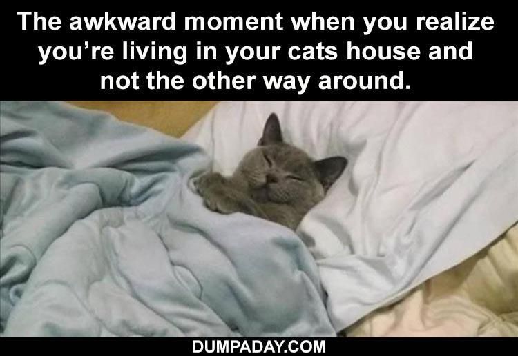 Top 34 Funny Animal Memes Of The Day 60D6Fb744C8E7