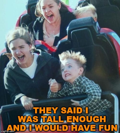 15 Funny Amusement Park Memes 