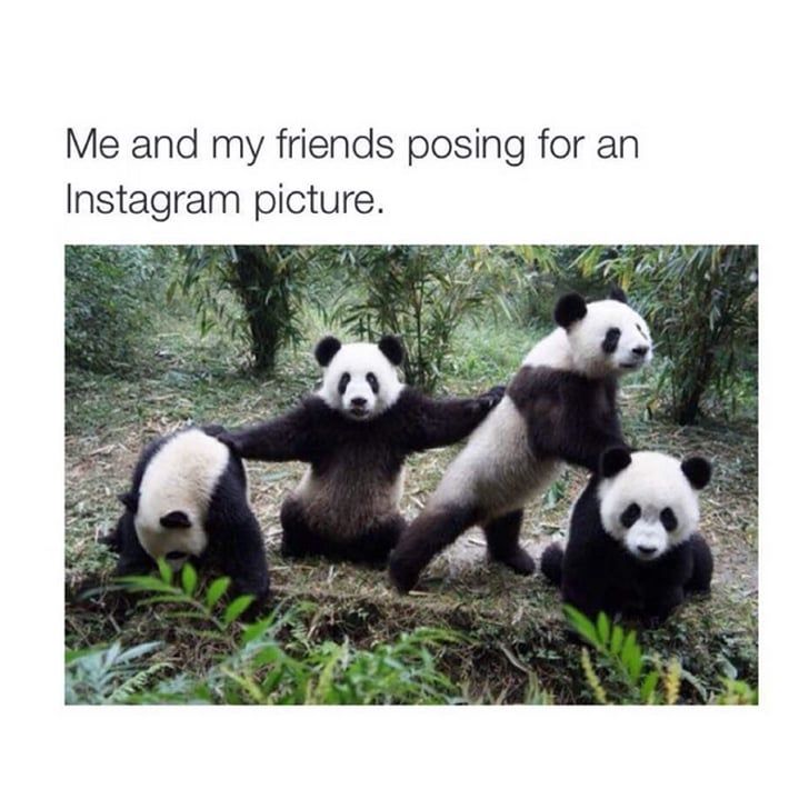 20 Funny Summer Friendship Memes
