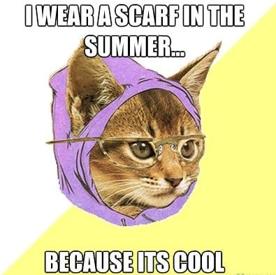 20 Cute Summer Cat Pictures To Share With Friends