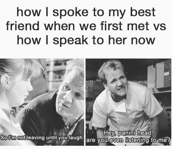 20 Funny Summer Friendship Memes