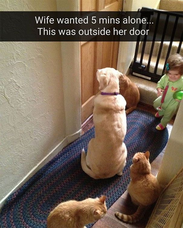 20 Hilarious And Relatable&Nbsp; Parenting Memes