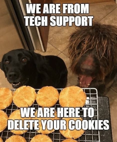 20 Cute And Funny Dog Memes For Pet Lovers 