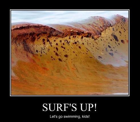 15 Funny Gulf Of Mexico Memes