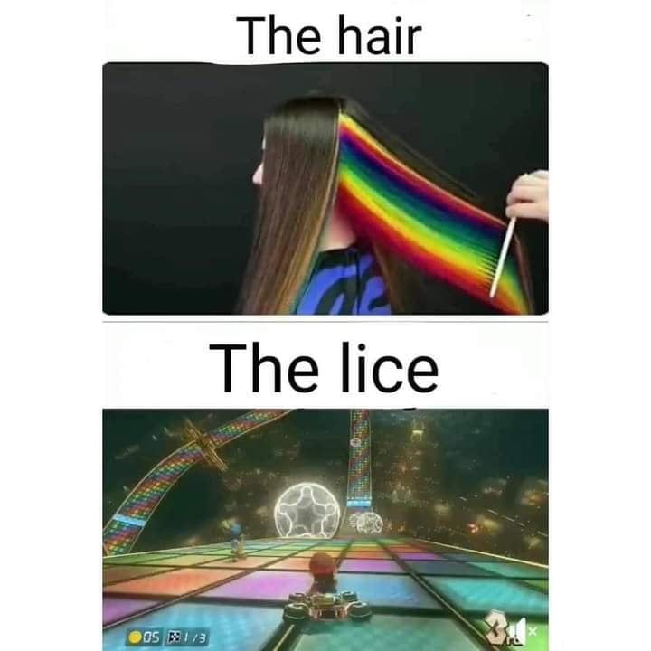 15 Funny Amusement Park Memes 