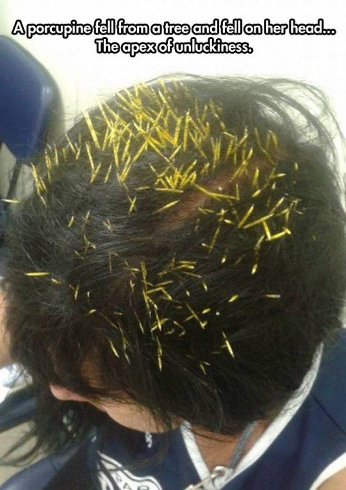 30 Epic Fails That Will Brighten Up Your Day