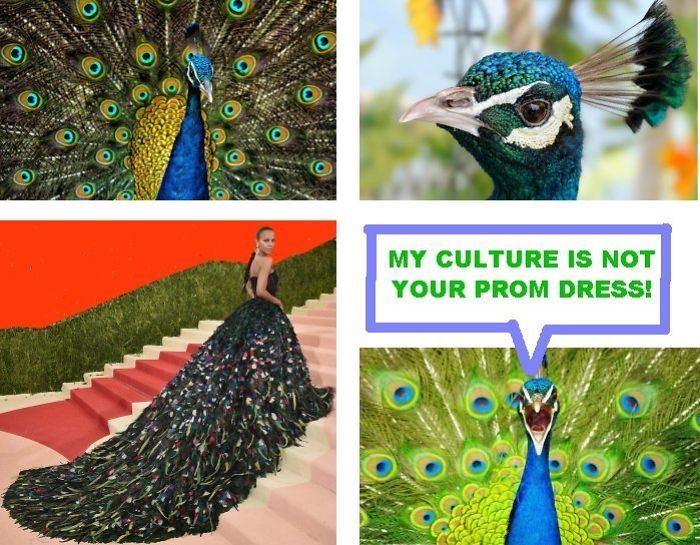 31 Funny Fashion Meme For Fashion Lovers