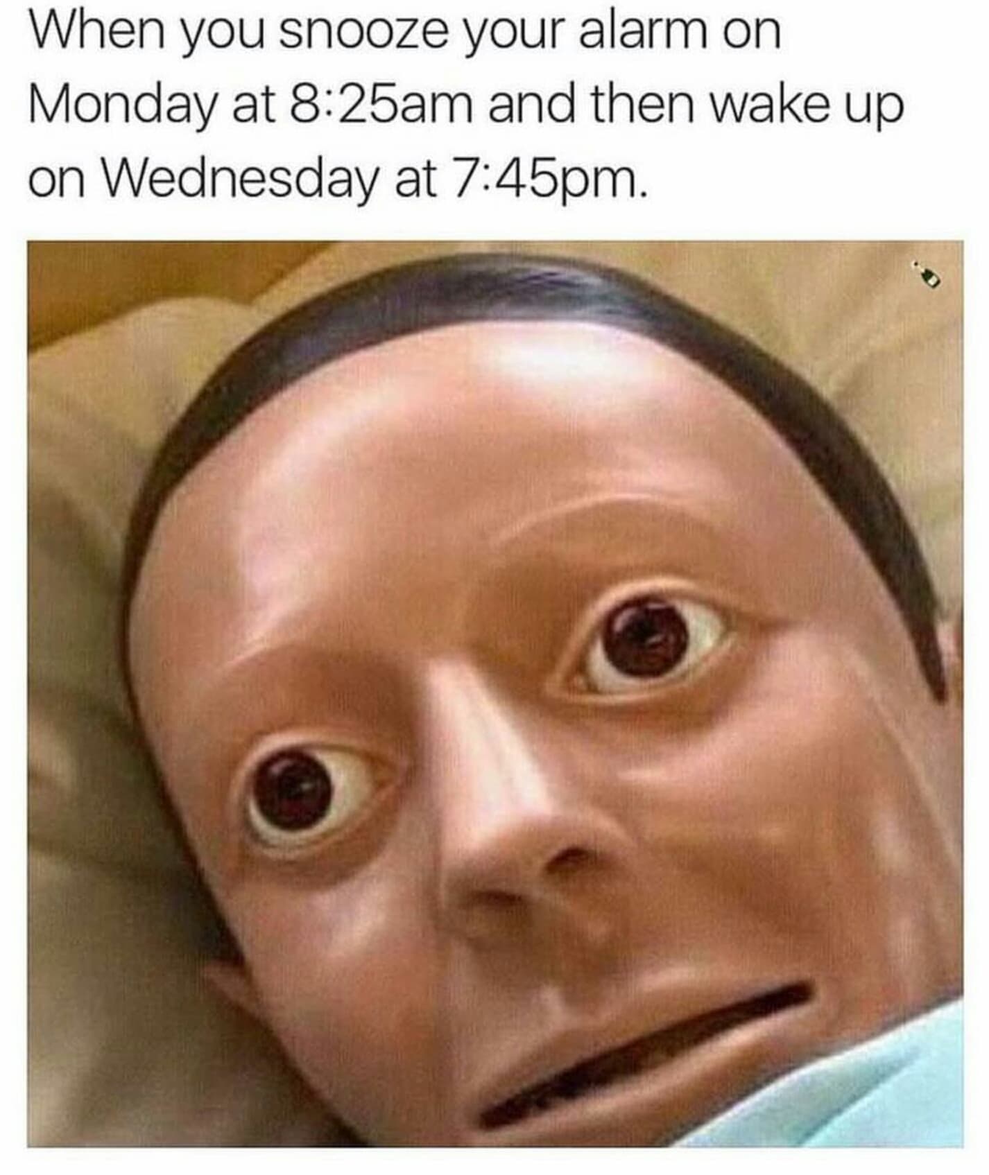 30 Super Funny Memes For College Students 
