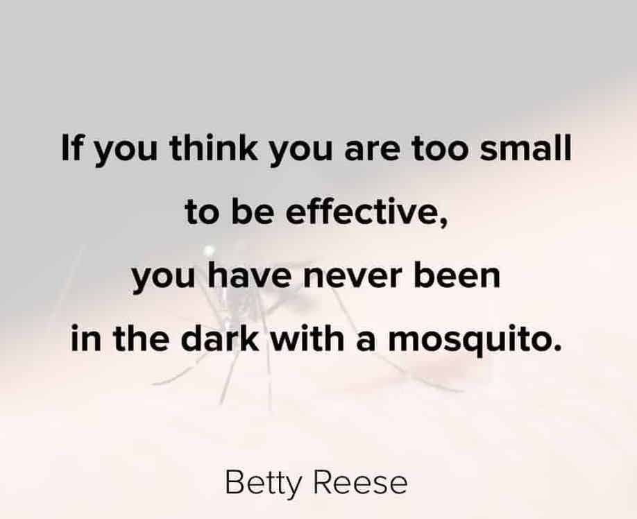 29 Amazing Inspirational Quotes To Uplift You 