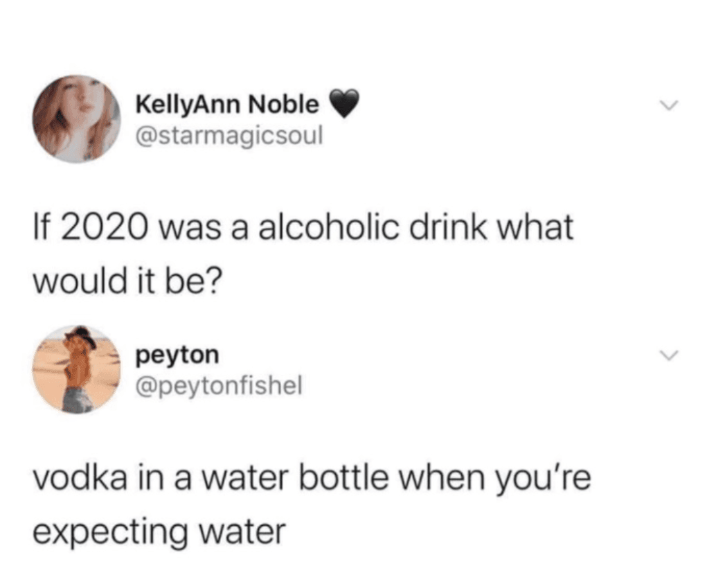 20 Of The Funniest Memes That Sum Up 2020