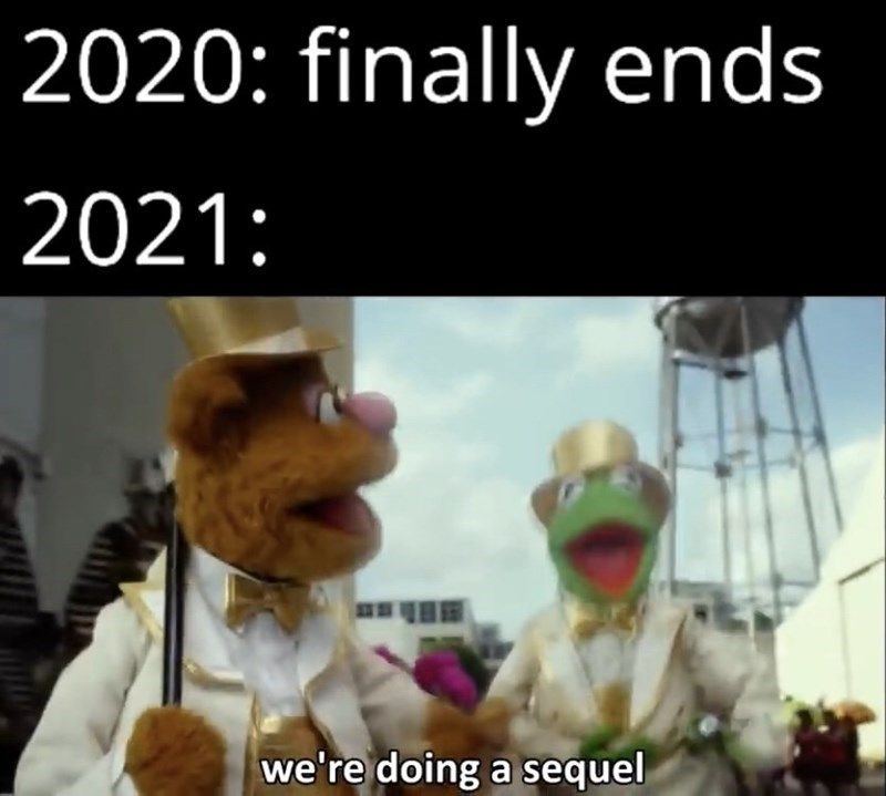 20 Of The Funniest Memes That Sum Up 2020