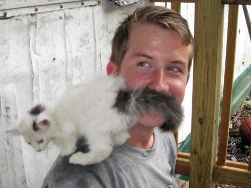 20 Epic Photo Bombs