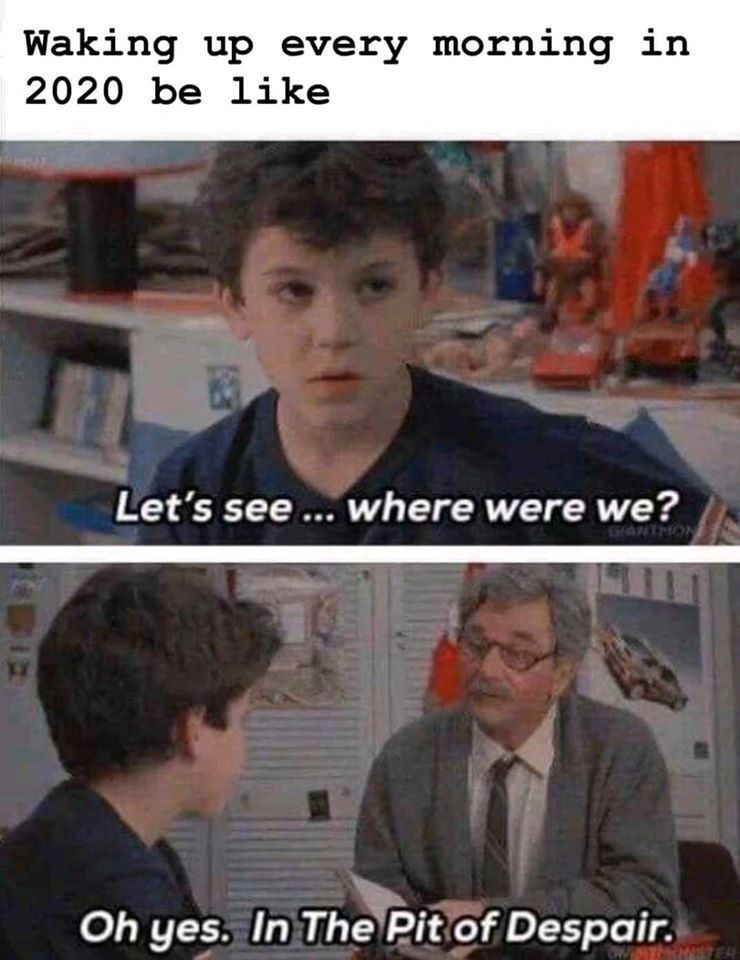 20 Of The Funniest Memes That Sum Up 2020