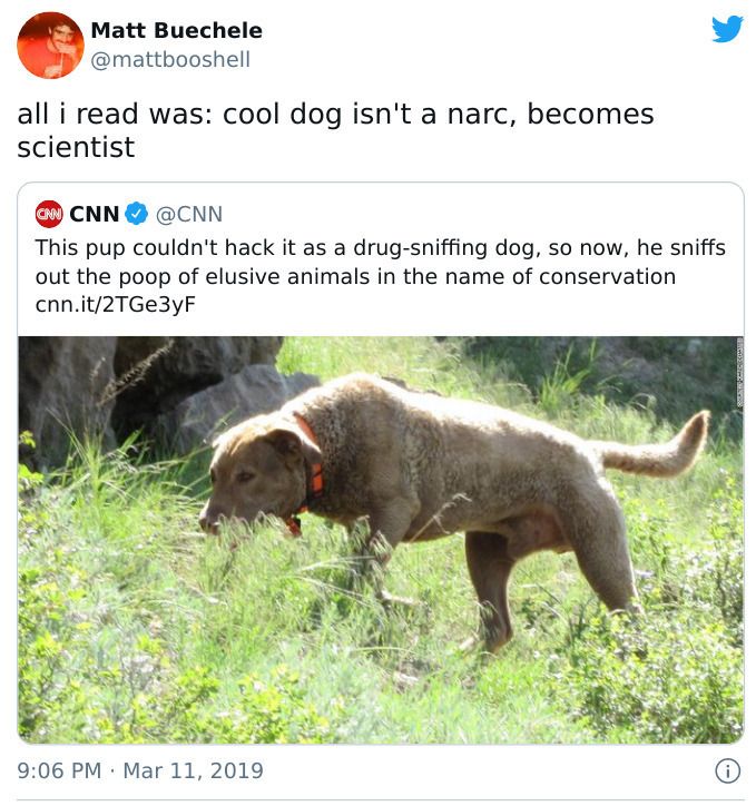 28 Hilarious Tweets You Simple Have To Read