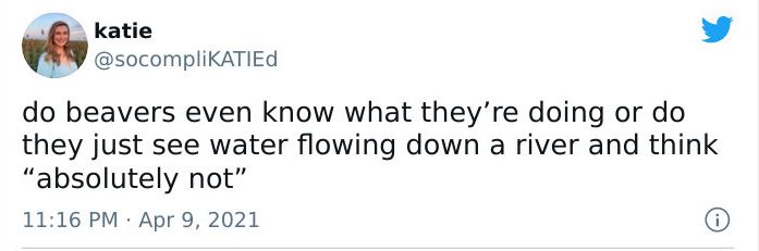 28 Hilarious Tweets You Simple Have To Read