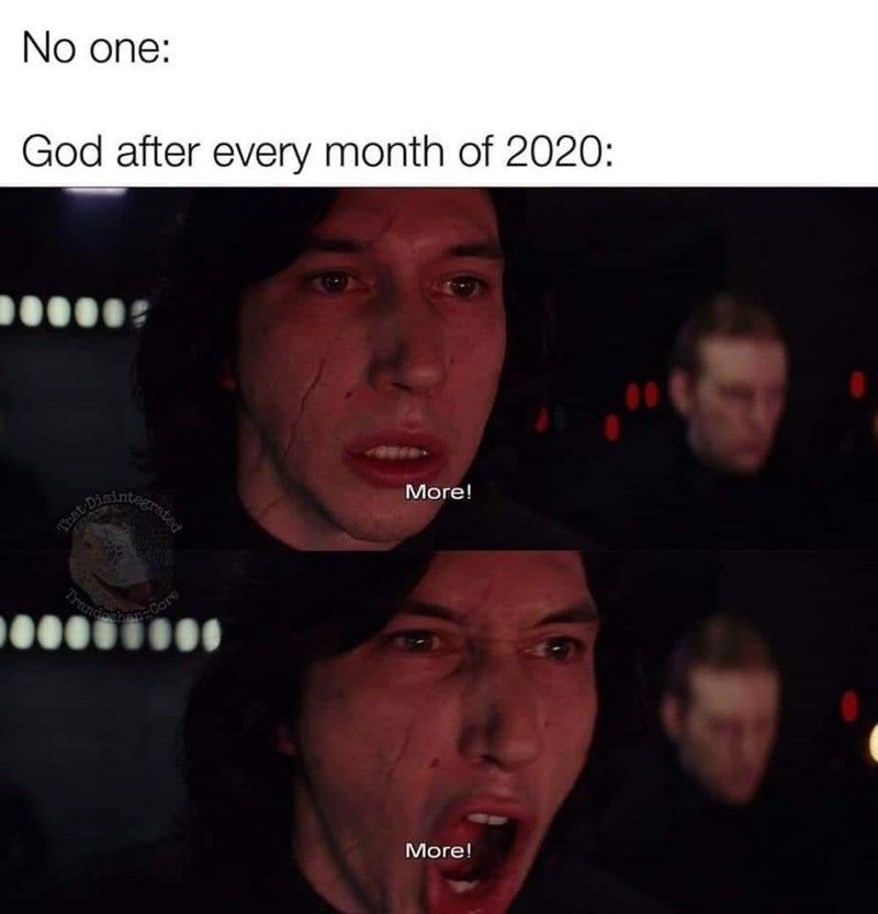 20 Of The Funniest Memes That Sum Up 2020