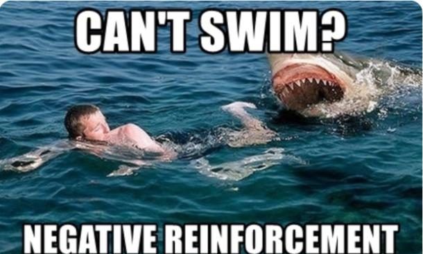 31 Funny Inspirational Pictures To Uplift You