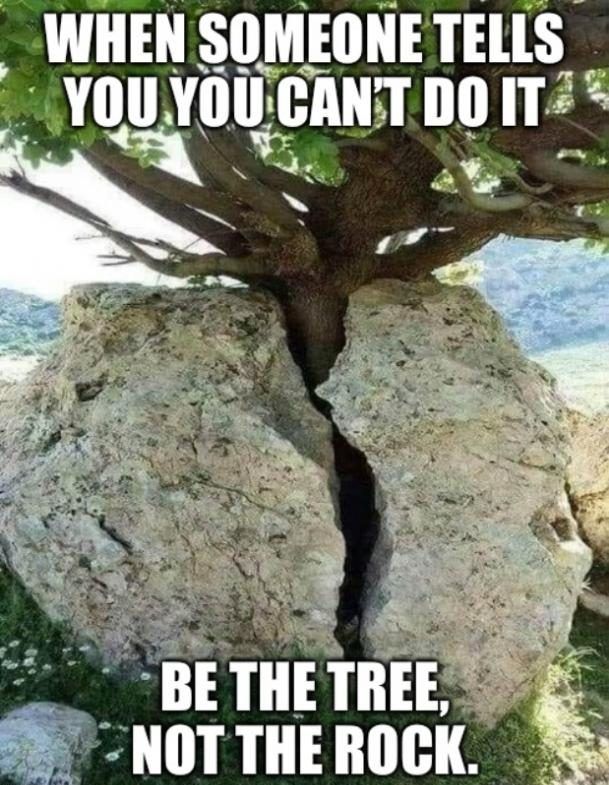 31 Funny Inspirational Pictures To Uplift You
