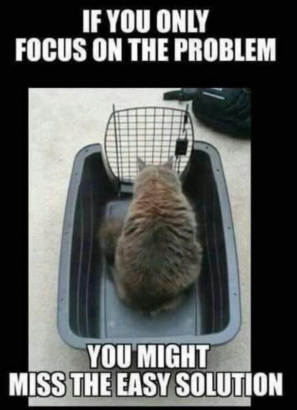 31 Funny Inspirational Pictures To Uplift You