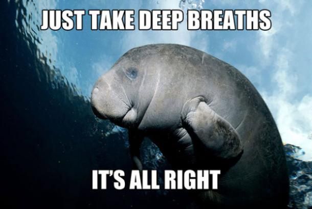 31 Funny Inspirational Pictures To Uplift You