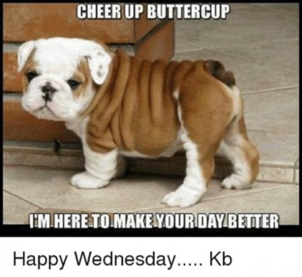 31 Funny Inspirational Pictures To Uplift You