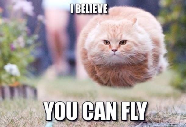 31 Funny Inspirational Pictures To Uplift You