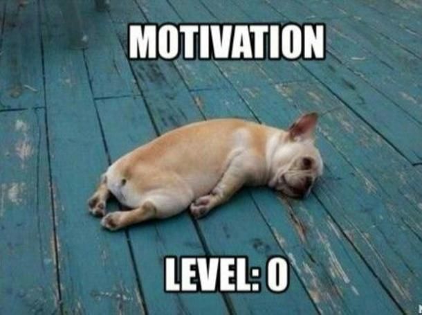 31 Funny Inspirational Pictures To Uplift You