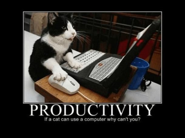 31 Funny Inspirational Pictures To Uplift You