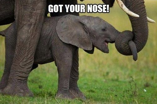 20 Extremely Funny Parenting Memes