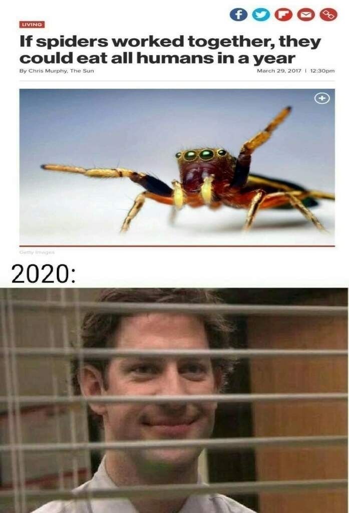 20 Of The Funniest Memes That Sum Up 2020