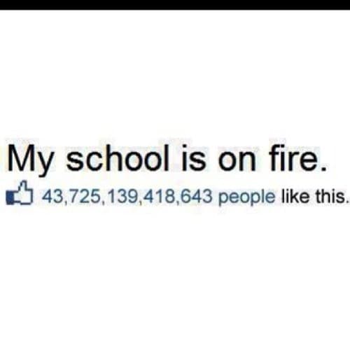 22 Funny And Relatable School Memes