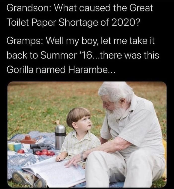 20 Of The Funniest Memes That Sum Up 2020
