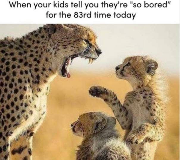 30 Great Summer Memes To Get Your Summer Going