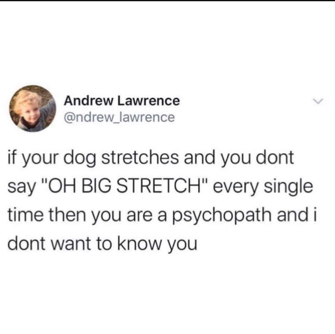 30 Amazing Memes About Pets And Animals