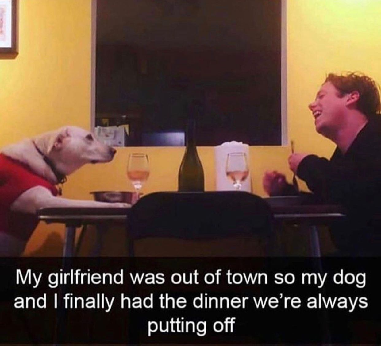 30 Adorable Dog Memes To Laugh At