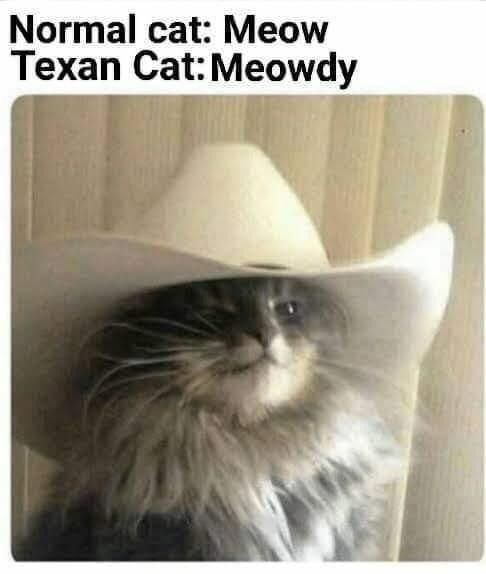 30 Amazing Memes About Pets And Animals