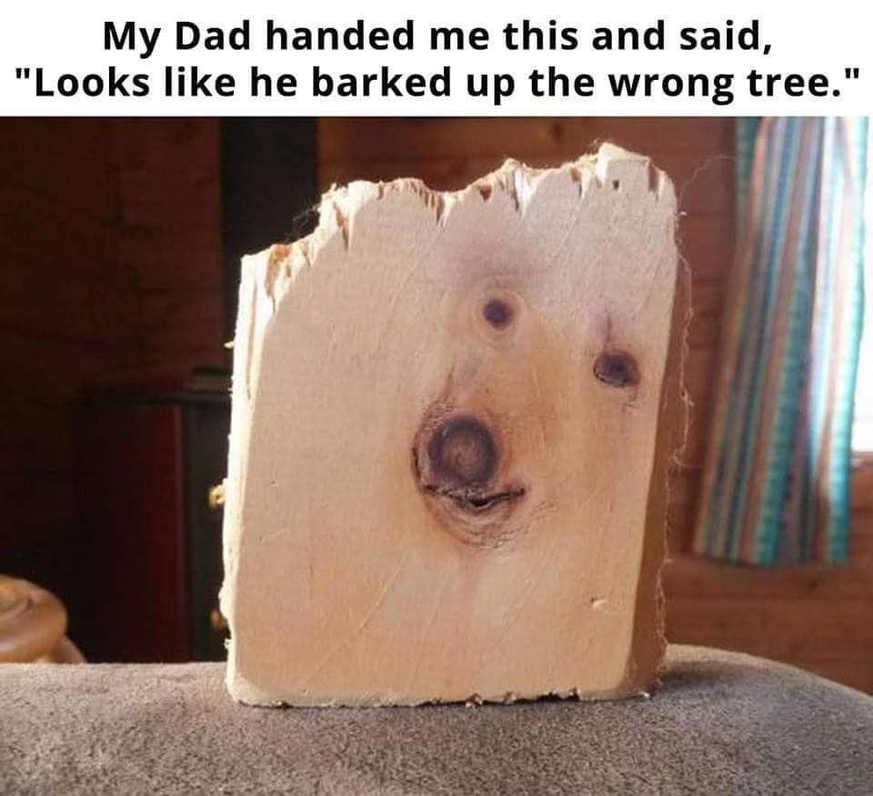 30 Adorable Dog Memes To Laugh At