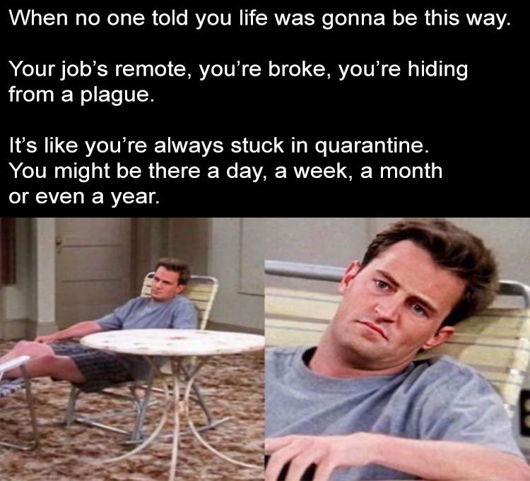 30 Painfully Relatable Quarantine Memes To Laugh At