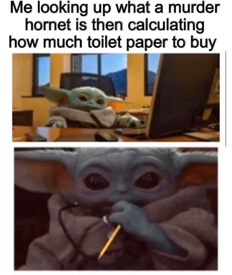 30 Painfully Relatable Quarantine Memes To Laugh At