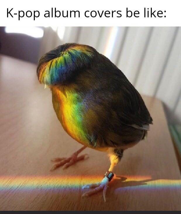 30 Amazing Memes About Pets And Animals