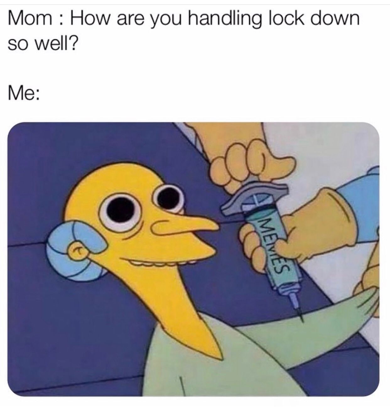 30 Painfully Relatable Quarantine Memes To Laugh At