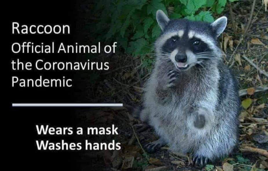 30 Painfully Relatable Quarantine Memes To Laugh At
