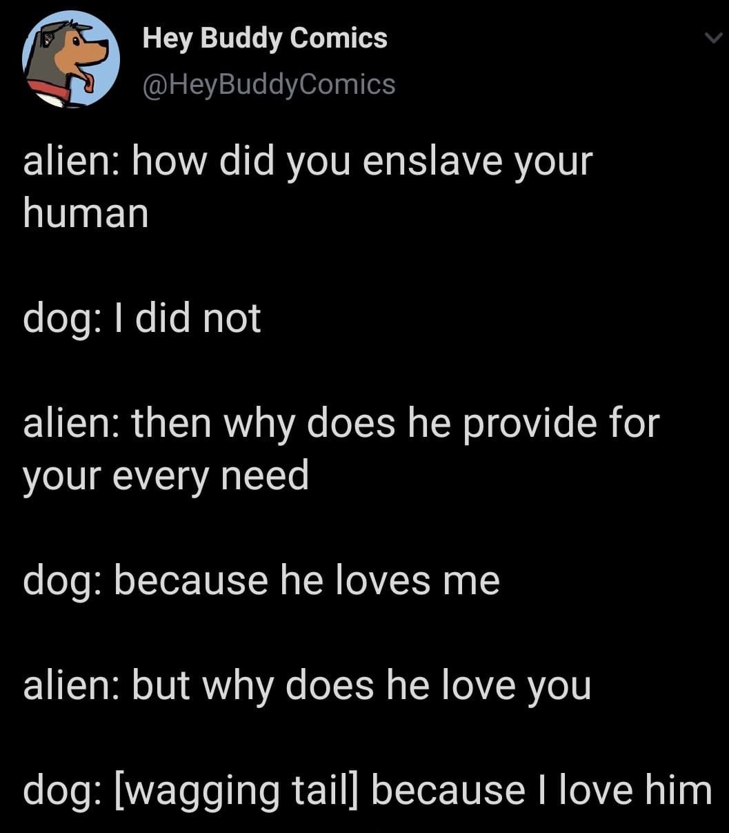 30 Amazing Memes About Pets And Animals
