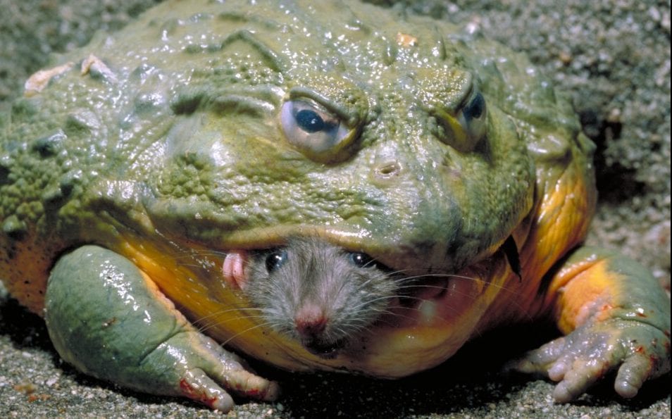 30 Exciting Funny Pictures For You To Laugh At 