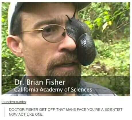 30 Exciting Funny Pictures For You To Laugh At 